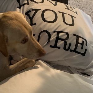 Meet your Posher, Doug